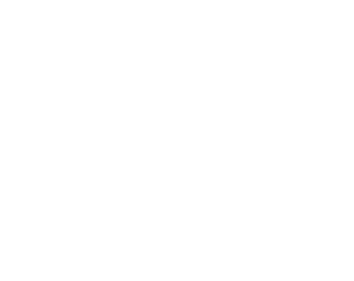 Stiftung-VFS-Logo-Campus